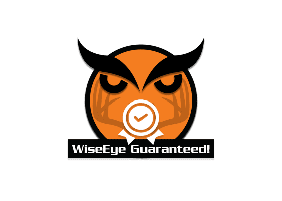The WiseEye Difference