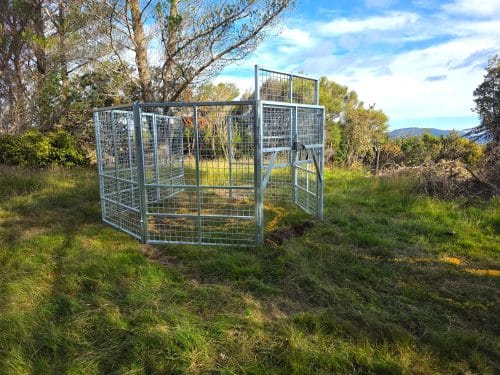 Feral Pig Trap