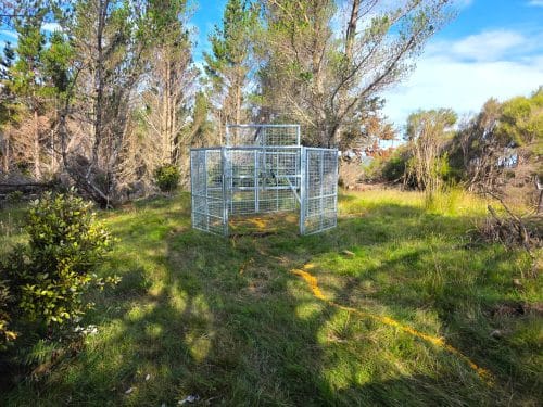 Alternative view of Feral Pig Trap